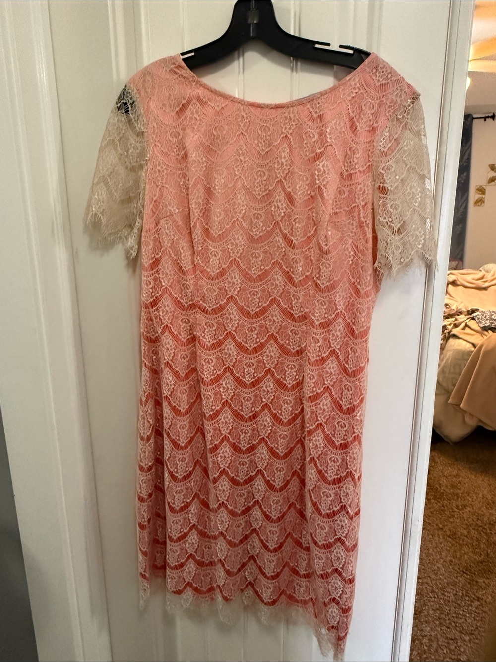 Scalloped Lace Midi Dress in Blush with Cream Sleeves